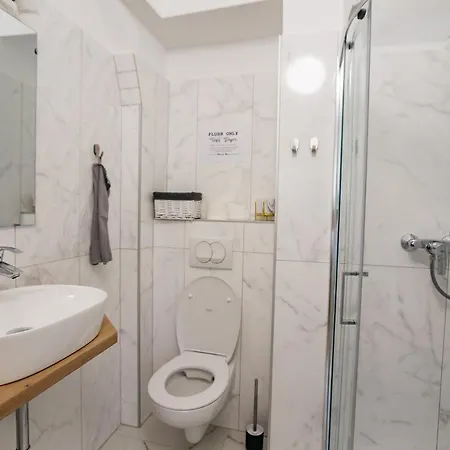 150 Steps To The Main Square 公寓 卢布尔雅那