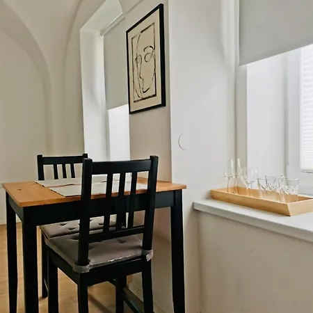Apartment 150 Steps To The Main Square Laibach