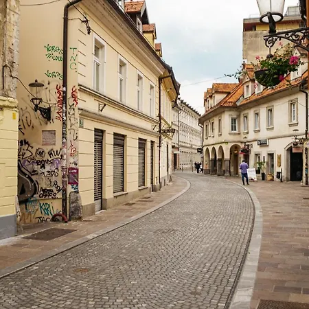 Appartement 150 Steps To The Main Square *